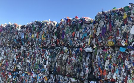 Қайырымдылық үшін жиналған киім-кешек дүкен сөресінен табылған