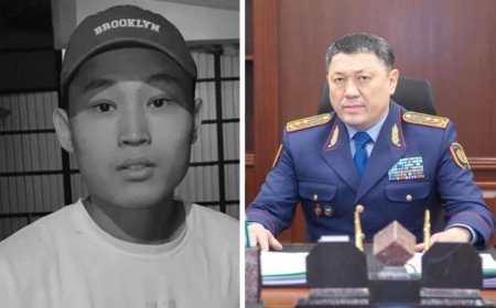 Шерзаттың өлімі: Министр қылмыстық іс қай баптар бойынша тергеліп жатқанын айтты