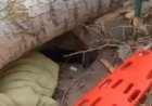 Павлодарда қатты дауылдан ағаш құлап, бір адам көз жұмды (ВИДЕО)