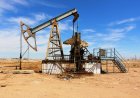 “КазМунайГаз” ответил на требования работников “Озенмунайгаз” во время забастовки