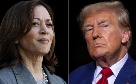 Харрис немесе Трамп: АҚШ-тың жаңа президенті Украина тағдырына қалай әсер етпек?