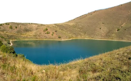 Жамбыл облысындағы Көккөлде жылан тәрізді құбыжық мекендейтіні рас па?