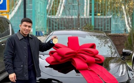 Әлем чемпионы Нұрқожа Қайпанов көлікті болды (ВИДЕО)