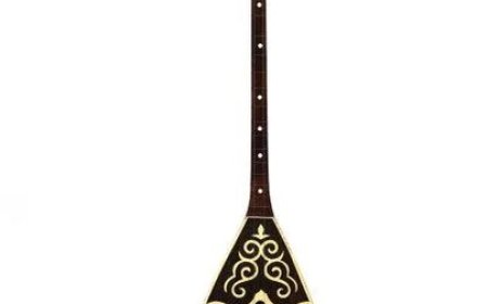 Народную артистку снова не пустили на рейс с домброй