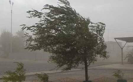 Астанада қатты дауыл ғимараттардың шатырын ұшырып әкетті (ВИДЕО)