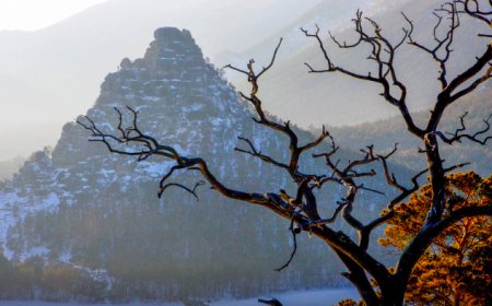 Казахстан вошёл в топ-5 желаемых новых направлений для туристов со всего мира