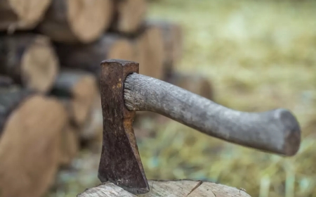 «Компьютер ойнатпаған»: 15 жастағы оқушы өз анасын өлтірді