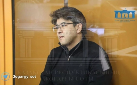 «Бишімбаев қашып кетті» деген ақпаратқа байланысты қылмыстық іс қозғалды