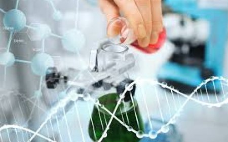 Когда казахстанский препарат против рака пройдет регистрацию и поступит в клиники