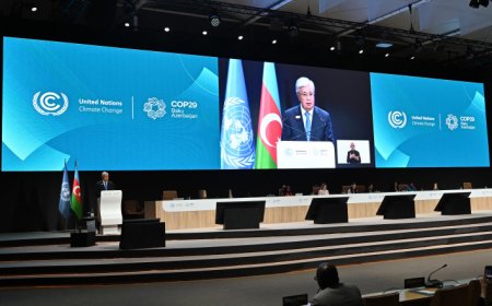 Касым-Жомарт Токаев выступил на Всемирном климатическом саммите в Баку