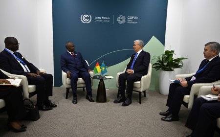 Токаев провел встречу с Президентом Гвинеи-Бисау