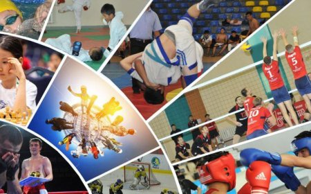 Туризм және спорт министрлігі спорт түрлерін іріктеу жүйесін өзгерту туралы заң жобасын әзірледі