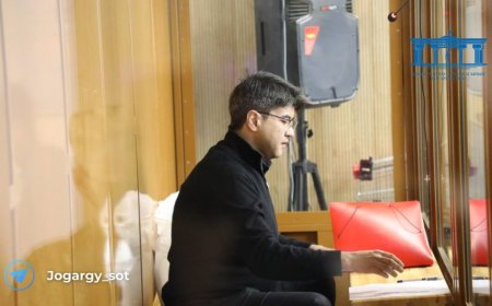 «Хайуанаттар бағы емес»: Сенатор Бишімбаевтың колониядағы суретін не үшін көрсетпейтіндерін айтты