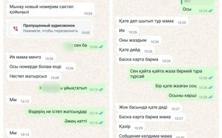 «Мама, ақша аударшы»: ІІМ қазақстандықтарға ескерту жасады