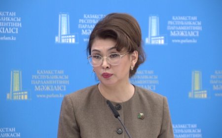 Аида Балаева белгілі волонтер Перизат Қайраттың ісіне қатысты ойын ашық айтты