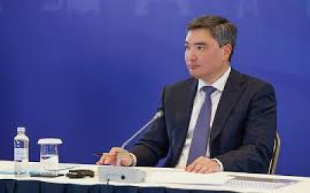 Премьер-министр встретился с Гендиректором корпорации «Росатом»