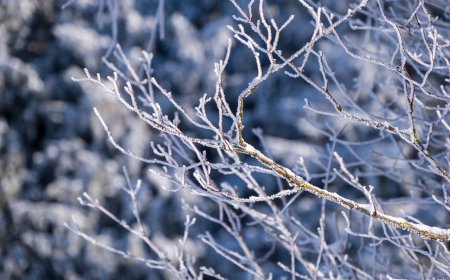 Синоптиктер биылғы қыстың қалай болатынын болжады