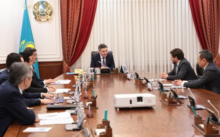 Премьер-министр встретился с представителями группы компаний SEFE