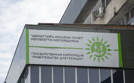 С 1 декабря 2024 года вступают в силу изменения в порядке ввоза транспортных средств