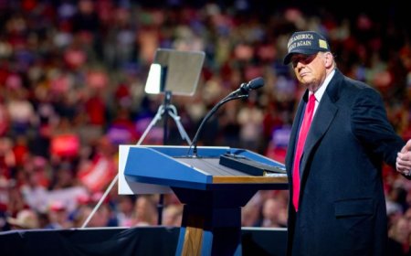 Трамп может объявить чрезвычайное положение для борьбы с мигрантами в США