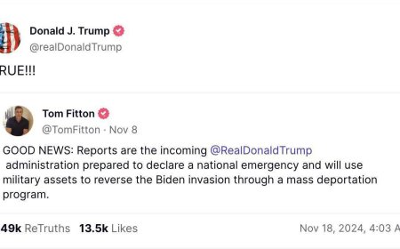 Трамп намерен ввести чрезвычайное положение в США для борьбы с миграцией