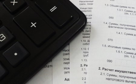 Қарапайым халық декларация тапсырмайтын болды