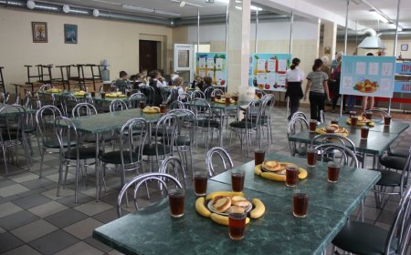 Штрафы за некачественный отбор поставщиков при закупках школьного питания введут в Казахстане