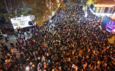 Грузияда оппозиция белсенділері тағы да митинг өткізді