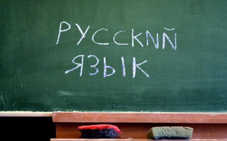 Парламентте Халықаралық орыс тілі ұйымын құру мәселесі қаралып жатыр