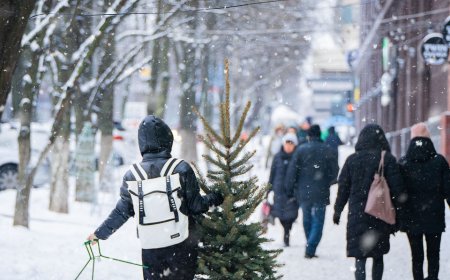 Жаңа жылдағы демалыс күндері ауысты