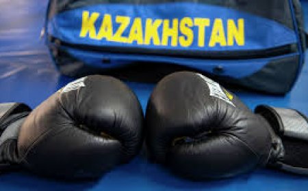 Кто представит Казахстан на чемпионате Азии по боксу