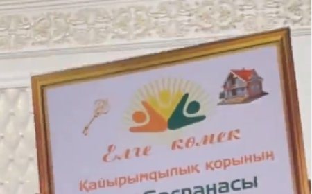«Апаға үй алып бердік деп 3-4 айға пәтер жалдап берген»: «Елге көмек» қайырымдылық қорының былығы ашылды