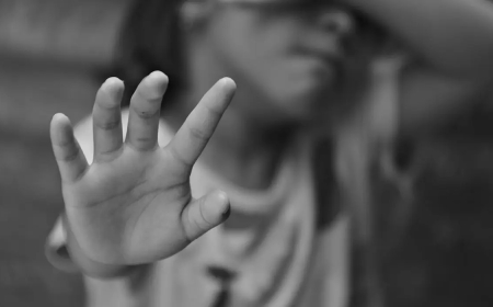 Павлодардағы ағайынды балалардың зорлану оқиғасы: Анасы қызының айтқанына сенбеген