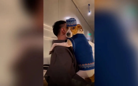 «Жетімдерге жәрдем берсең болмай ма?»: Итінің туған күнін этностильде тойлаған блогер сынға қалды (ВИДЕО)