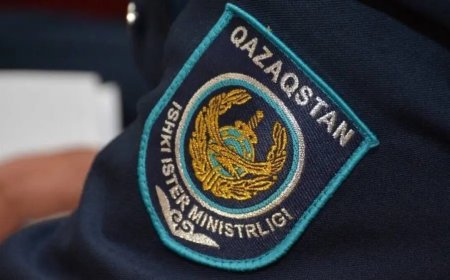 Полиция призывает казахстанцев не пытаться подкупить сотрудников и соблюдать закон