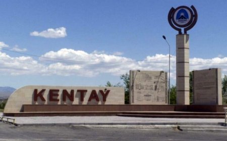 Кентау қаласы экологиялық апат аймағы деп танылды
