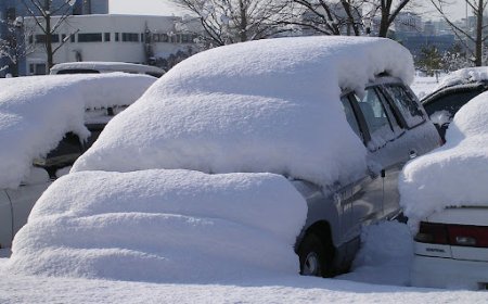 «Қаза тапқандар бар»: Сеулде 100 жылдағы ең қалың қар жауды