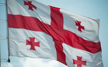 Грузия заморозила процесс вступления в ЕС: в стране вспыхнули протесты