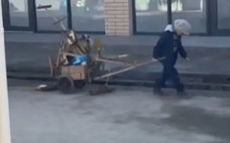 «Мына баланы тауып беріңіздерші»: Жетісайдағы базарда арба сүйреп жүрген 7 жасар баланың видеосы тарады
