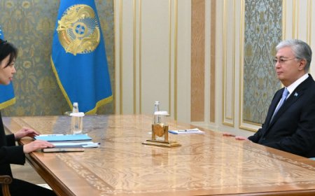 Глава государства принял Зульфию Сулейменову