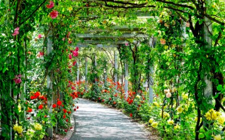 На месте бывшего мусорного полигона в Шымкенте построят экопарк