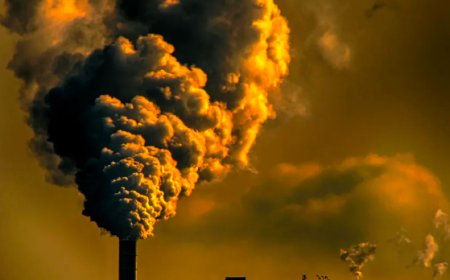 В Усть-Каменогорске создали спецкомиссию для контроля за качеством воздуха