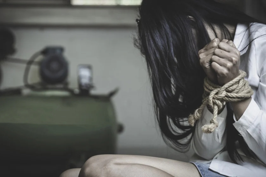 Аю мен қоянның жынысы