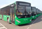 В Алматы запускают новый автобусный маршрут