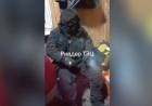 «Қап-қара болып күйіп кеткен»: Риддердегі жұмысшылардың жантүршігерлік ВИДЕО-сы тарады