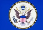 Белоголовый орлан официально признан национальной птицей США