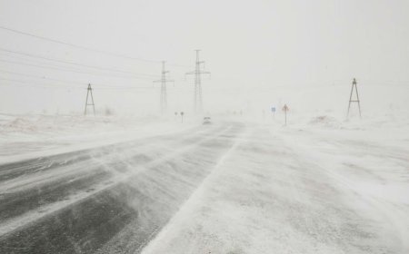 Прогноз погоды на 7 декабря