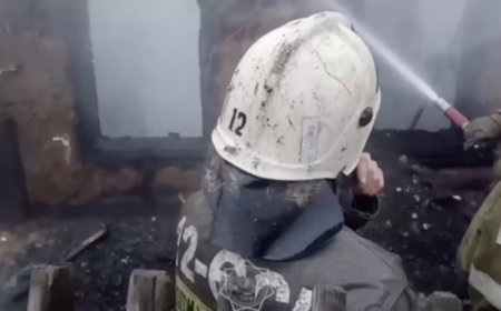 Ақмола облысында үйден өрт шығып, екі бала көз жұмды