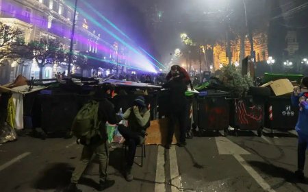 Тбилисидегі наразылықтың бесінші күні: Халық бөгеттер сала бастады