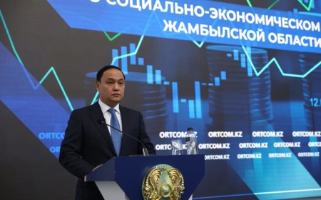 На поддержку агропромышленного комплекса Жамбылской области было выделено 24,6 миллиарда тенге.